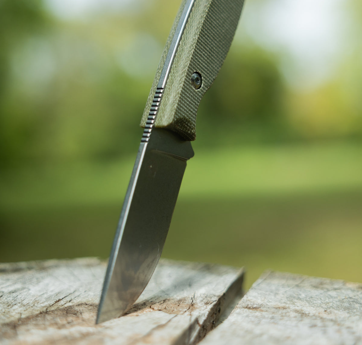The Briar